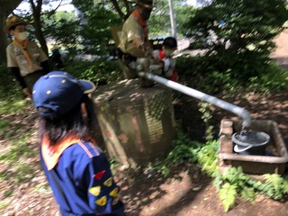125E711D-9D2E-4AD8-B9BF-2CC510EDA666.jpeg