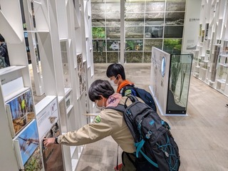 PXL_20221211_024743494.jpg